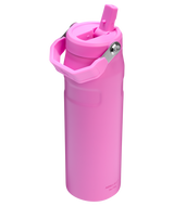 The IceFlow™ Bottle with Flip Straw Lid