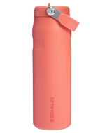 The IceFlow™ Bottle with Flip Straw Lid
