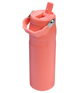 The IceFlow™ Bottle with Flip Straw Lid